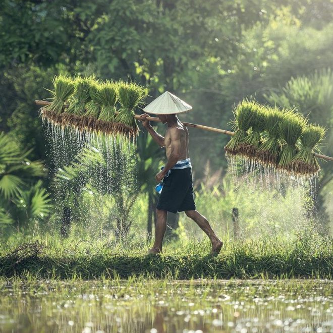 Usul Mikul : Bukan Wacana Aja, Antara Utopia dan Kelelahan